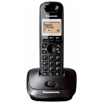 Telefon Panasonic KX-TG2511PDT - bezprzewodowy  DECT tytanowy czarny