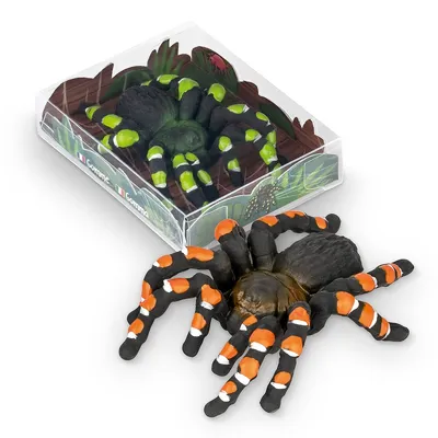 Gumka do ścierania tarantula TRENDHAUS ZOO, mix kolorów