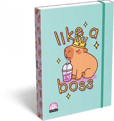 Teczka z gumką ICO Lizzy Lollipop Capybara, przestrzenna, A4, mix kolorów