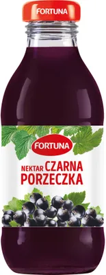 Nektar FORTUNA, czarna porzeczka, szkło, 0,3l